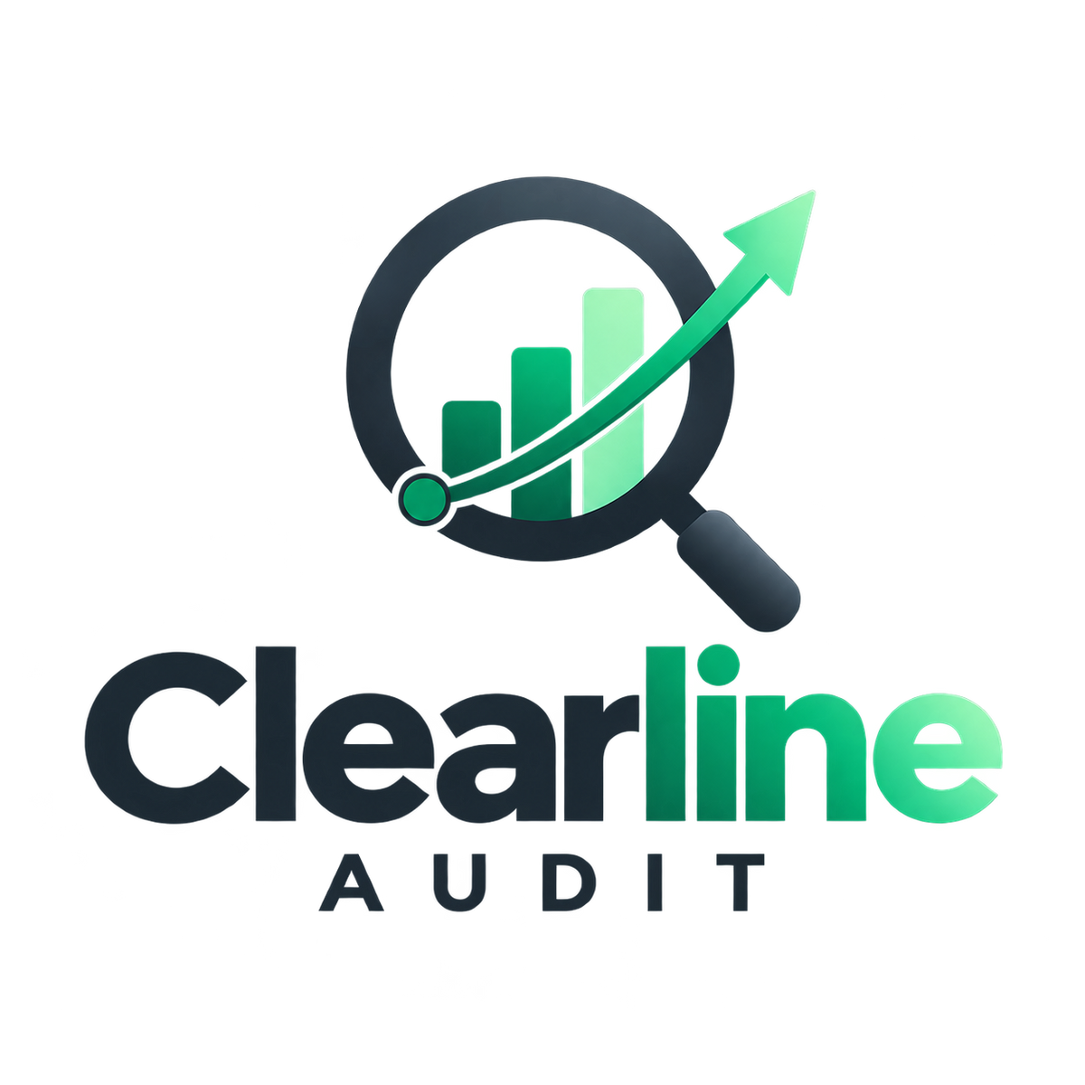 Full Website SEO & Performance Audit - *New Customer*