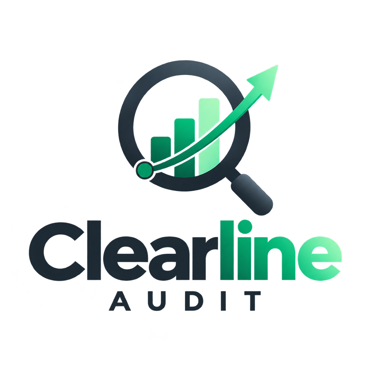 Full Website SEO & Performance Audit - *New Customer*